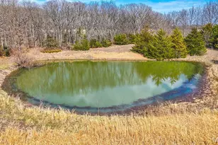 19940 Monroe Road 214, Holliday, MO 65258 - Photo 68