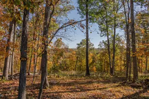 2824 Morgan Lk Dr, Innsbrook, MO 63390 - Photo 1