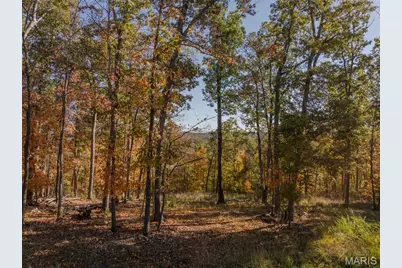 2824 Morgan Lake Drive, Innsbrook, MO 63390 - Photo 4