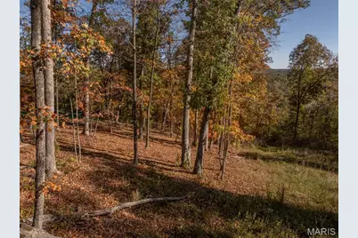 2824 Morgan Lake Drive, Innsbrook, MO 63390 - Photo 6