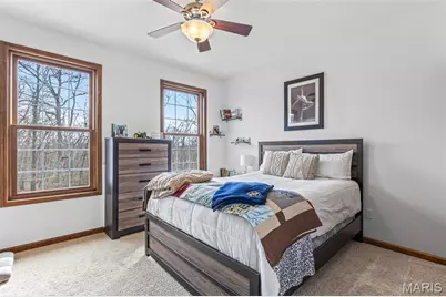 414 Silver Creek Road, Farmington, MO 63640 - Photo 58