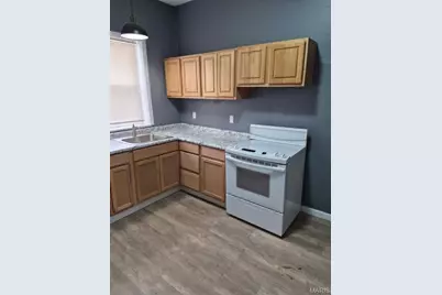 4502 Adelaide Avenue, Saint Louis, MO 63115 - Photo 4