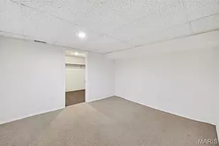 6924 Bancroft Ave, Saint Louis, MO 63109 - Photo 42