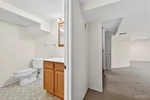 6924 Bancroft Ave, Saint Louis, MO 63109 - Photo 48