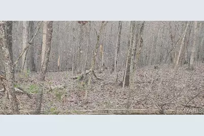 2422 Lancers Court, Marthasville, MO 63357 - Photo 4