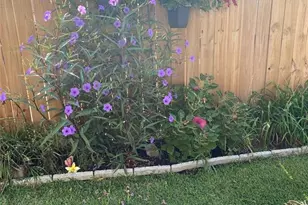 5622 Pernod Ave, Saint Louis, MO 63139 - Photo 6