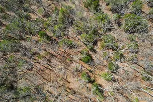 6150 Sr Dd, Festus, MO 63028 - Photo 54