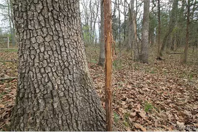 6150 Sr Dd, Festus, MO 63028 - Photo 24