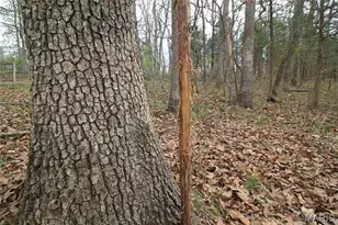 6150 Sr Dd, Festus, MO 63028 - Photo 24