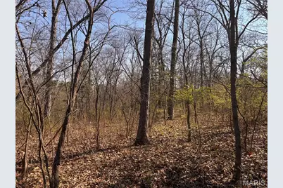 29086 State Highway Aa, Wright City, MO 63390 - Photo 64