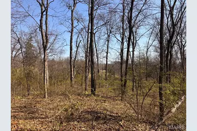 29086 State Highway Aa, Wright City, MO 63390 - Photo 66