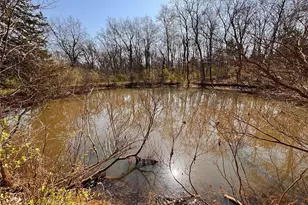 29086 State Hwy Aa, Wright City, MO 63390 - Photo 36