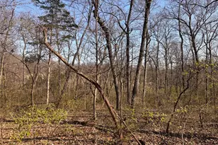 29086 State Hwy Aa, Wright City, MO 63390 - Photo 66