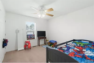 233 Anna Drive, Poplar Bluff, MO 63901 - Photo 16