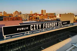 3034 Rutger St, Saint Louis, MO 63104 - Photo 20