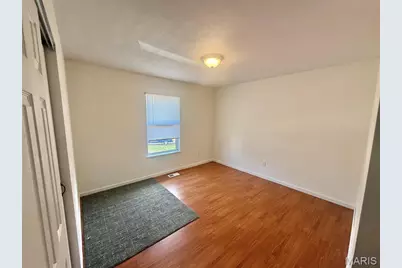 3 Bradley Court, Desloge, MO 63601 - Photo 26