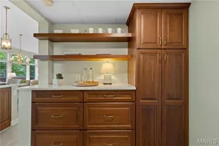 6615 Alamo Ave, Clayton, MO 63105 - Photo 16