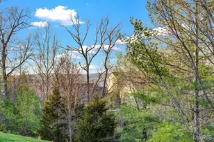 679 Bluffs View Ct, Eureka, MO 63025 - Photo 4