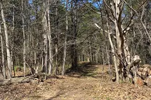 7711 Dittmer Rd, Dittmer, MO 63023 - Photo 10