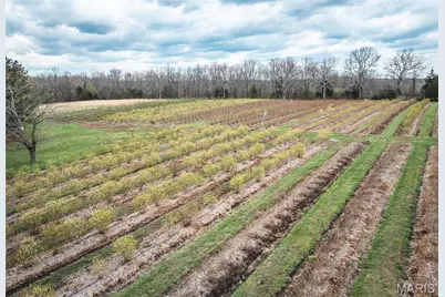 552 Lick Creek Road, Leasburg, MO 65535 - Photo 66