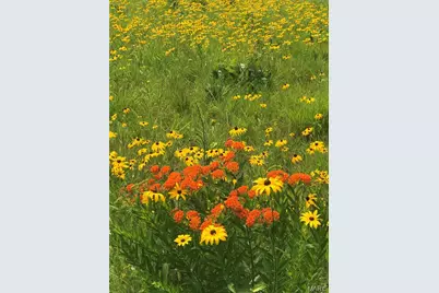 552 Lick Creek Road, Leasburg, MO 65535 - Photo 30