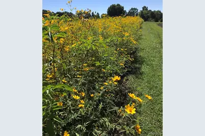 552 Lick Creek Road, Leasburg, MO 65535 - Photo 22