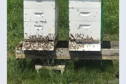 552 Lick Creek Road, Leasburg, MO 65535 - Photo 18