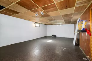 3905 Itaska St, Saint Louis, MO 63116 - Photo 20