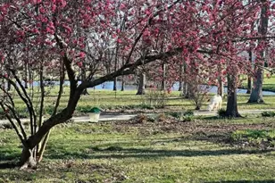 5961 Busiek Rd, Farmington, MO 63640 - Photo 2