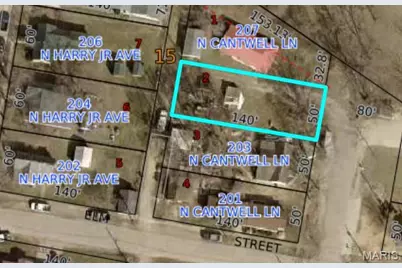 Tbd N Cantwell Lane, Desloge, MO 63601 - Photo 2