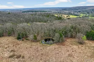 30050 Hwy T, Richland, MO 65556 - Photo 12