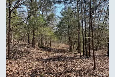 30050 Highway T, Richland, MO 65556 - Photo 48