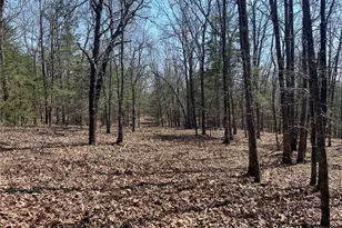 30050 Hwy T, Richland, MO 65556 - Photo 2