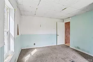 700 Lovett St, De Soto, MO 63020 - Photo 14