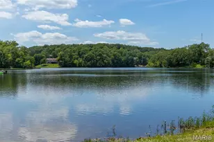 3 Caroline Ct, De Soto, MO 63020 - Photo 70