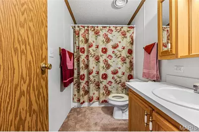 5600 Meadow Lane, Farmington, MO 63640 - Photo 22