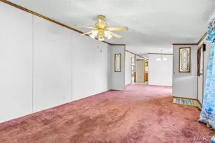 5600 Meadow Ln, Farmington, MO 63640 - Photo 16