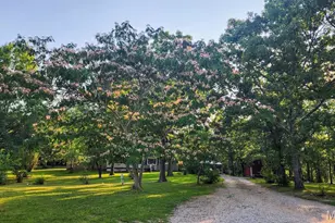 2066 State Road Jj, Stoutland, MO 65567 - Photo 6