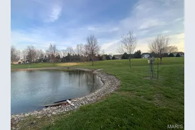 193 Berry Manor Circle, Saint Peters, MO 63376 - Photo 6