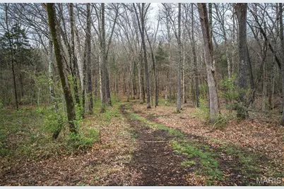60 Mabel Lane, Marthasville, MO 63357 - Photo 6