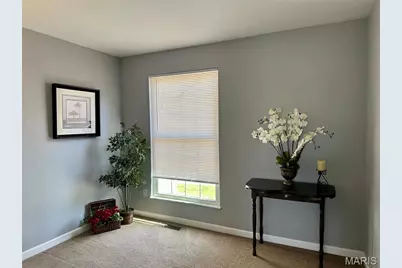 47 Julie Lane, Saint Peters, MO 63376 - Photo 14