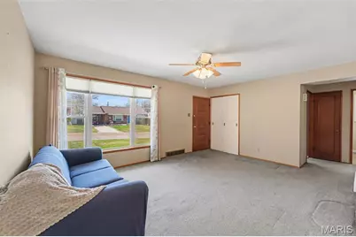 7417 Ray Avenue, Saint Louis, MO 63116 - Photo 4