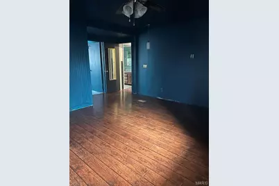 6636 County Road 423, Palmyra, MO 63461 - Photo 22