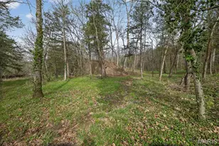 31338 Hwy 32, Lebanon, MO 65536 - Photo 46