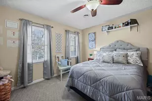 111 Wildhorse Rd, Farmington, MO 63640 - Photo 46