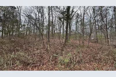 6330 Sparrow Drive, French Village, MO 63036 - Photo 4