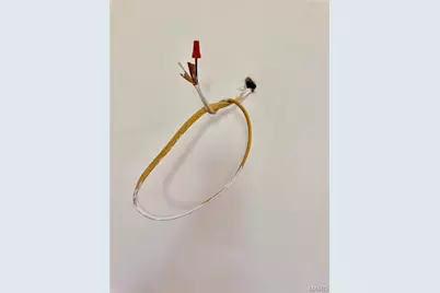 5345 Helen Avenue, Saint Louis, MO 63136 - Photo 14