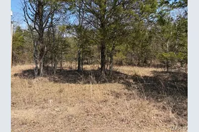 Lot 18 Monet Ct, Bonne Terre, MO 63628 - Photo 2