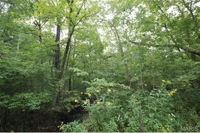 65 +/- Acres Pendleton Lost Creek Road, Warrenton, MO 63383 - Photo 6