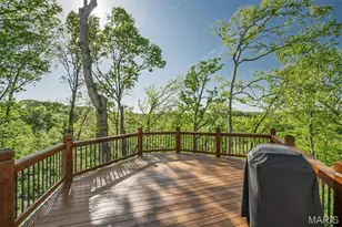 16925 Lewis Spring Farms Rd, Saint Louis, MO 63005 - Photo 58